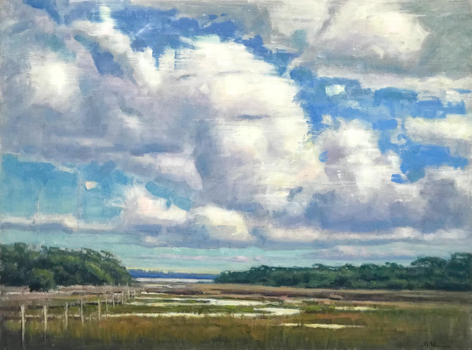 Marsh and Sky